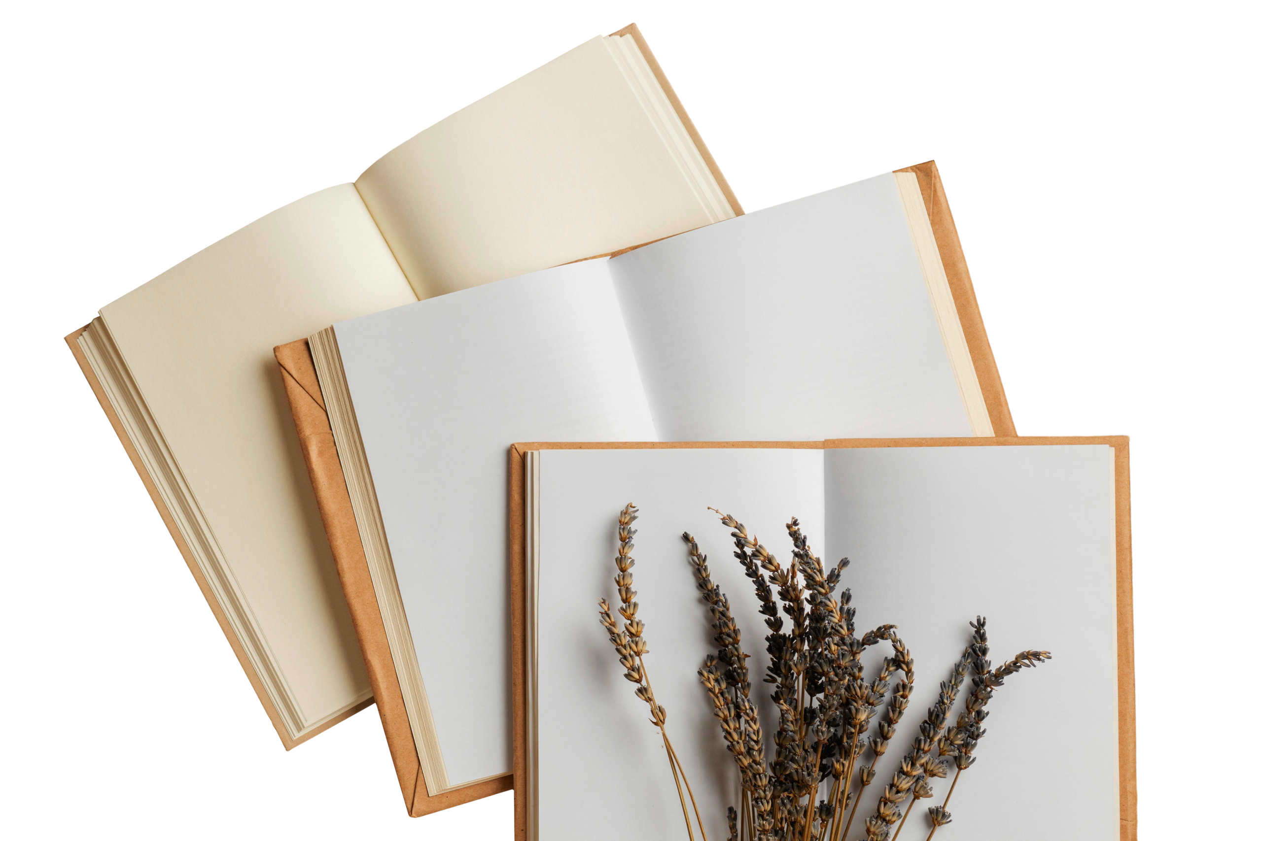 Librería Kairos: Donde Cada Lectura Llega en el Momento Justo